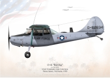 O-1E "Bird Dog" FAC 1970...