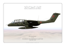 Bronco Morocco JP-5966