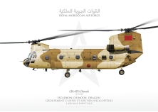 CH-47D Morocco JP-4325