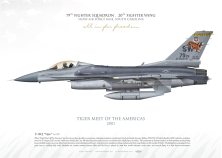 F-16C 79 FS Tiger special TK-11