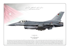 F-16ADF RJAF JP-5992