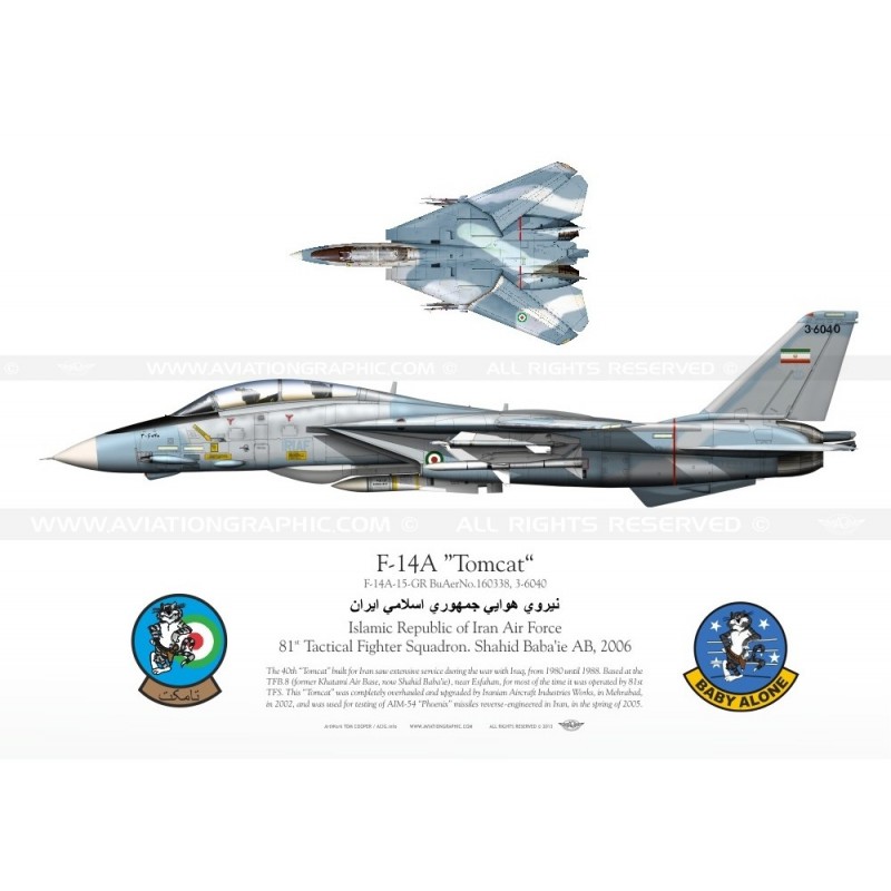 F-14A 